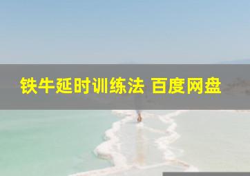 铁牛延时训练法 百度网盘